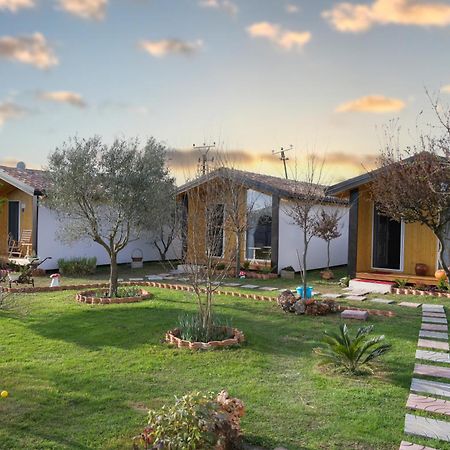 Hotel Villa Linda Shkodër Exterior foto
