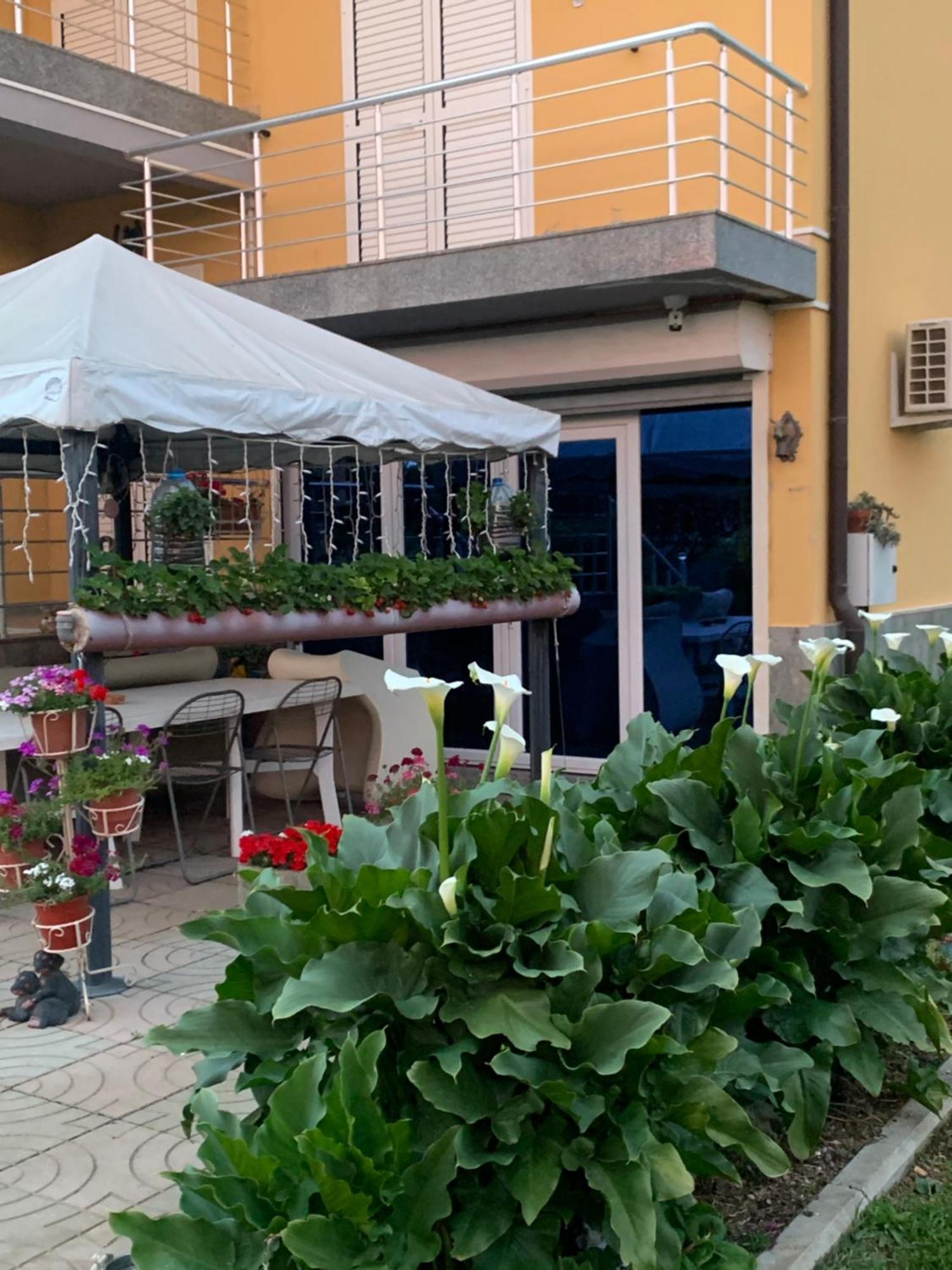 Hotel Villa Linda Shkodër Exterior foto