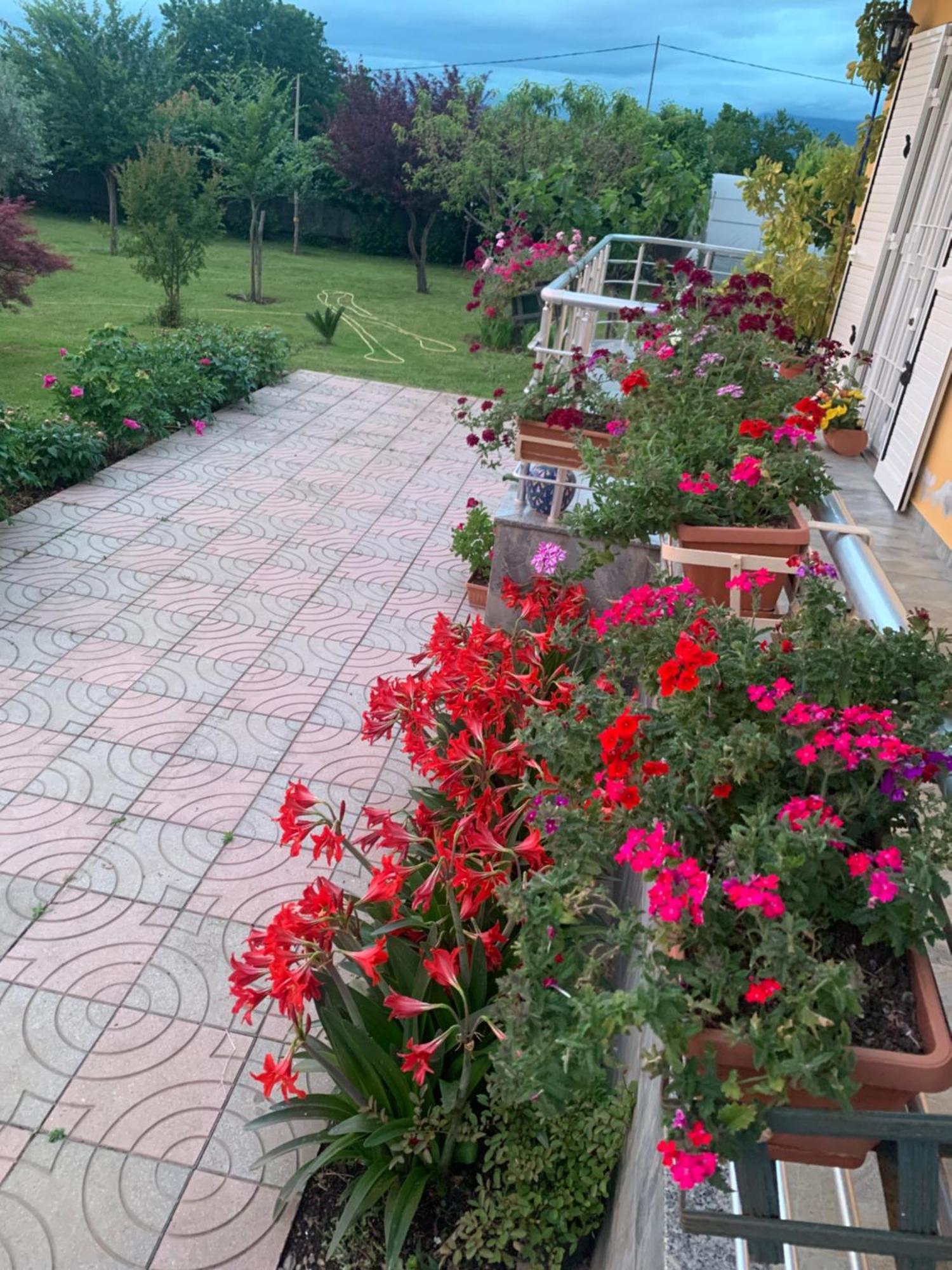 Hotel Villa Linda Shkodër Exterior foto
